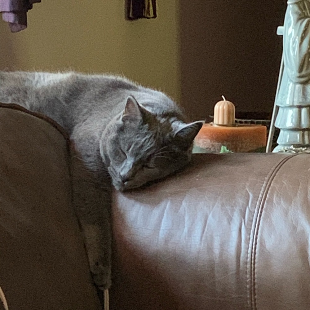 Meet your Posher, Mr.